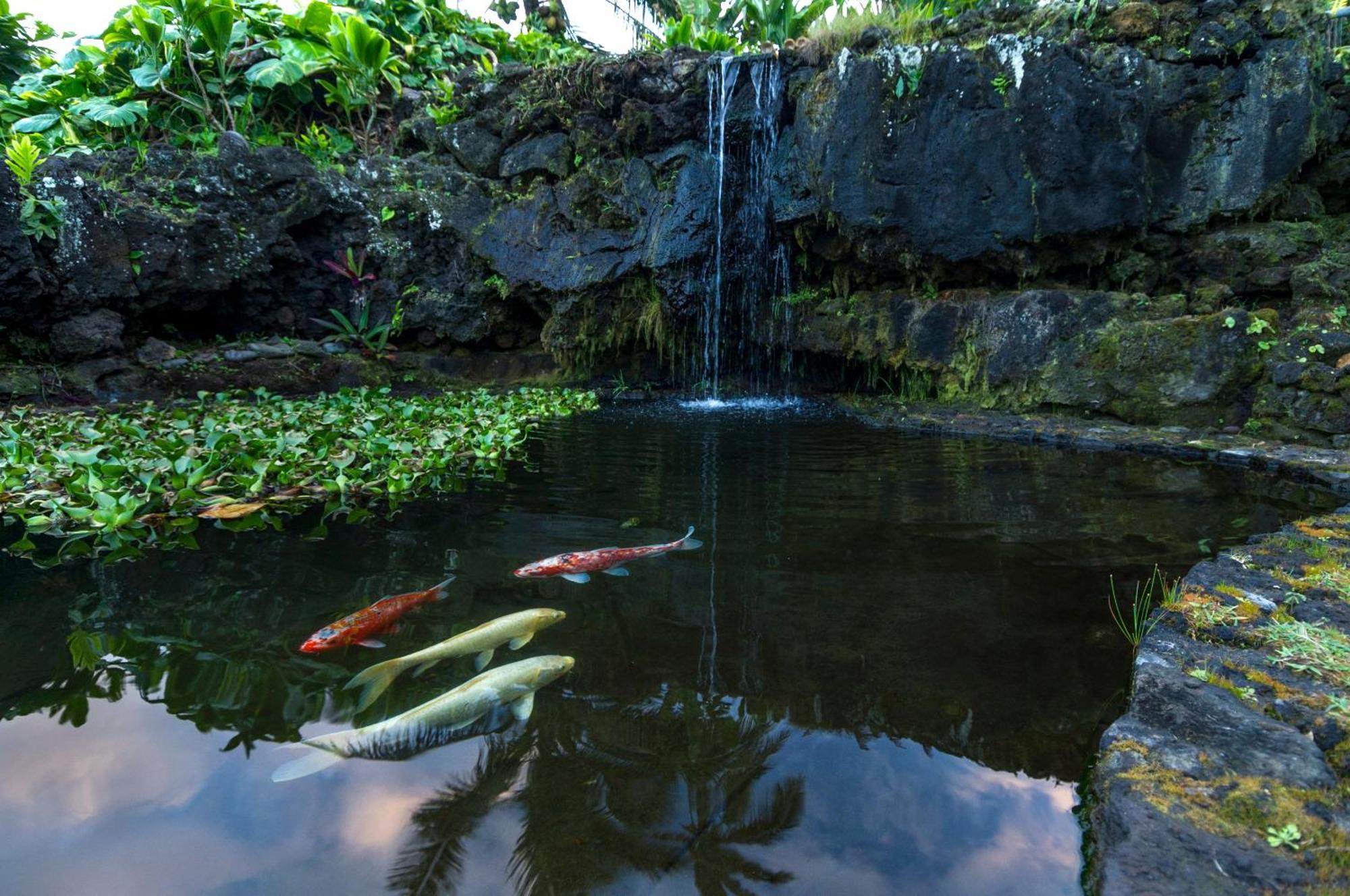 Hana Kai Maui - #106 Kuakahi Partial Oceanview Studio מראה חיצוני תמונה
